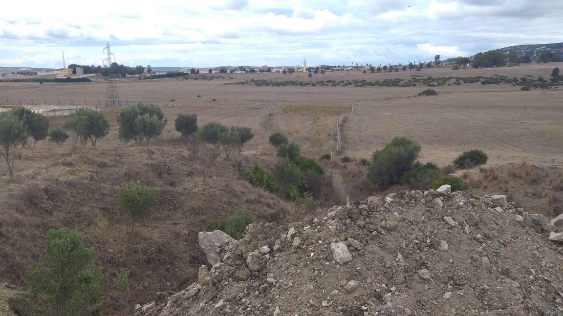 Terrain